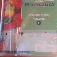 testi scolastico matematica itis