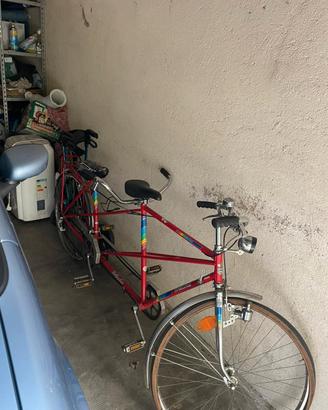 tandem bottecchia