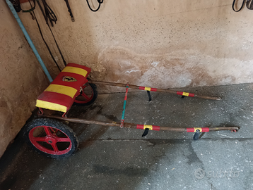 Calesse per mini poni