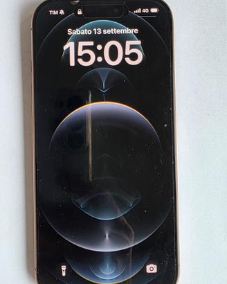 Iphone 16 Pro 256gb in Garanzia 