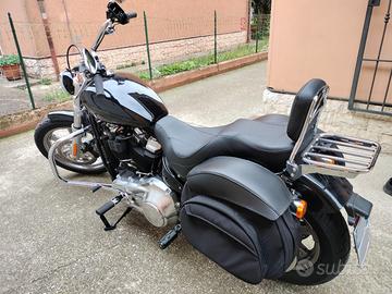 Harley Davidson softail standard