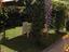 Immagine 24