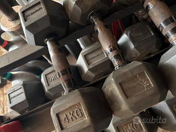 Manubri esagonali gommati 4 kg coppia