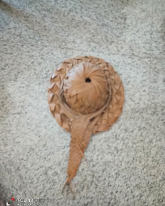 cappello intreccio foglie di palma