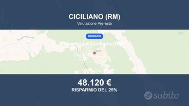 Immobile in asta di 102 m² a Ciciliano