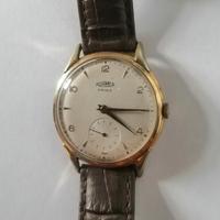 RARO ROAMER 17 RUBIS CONSERVATO