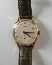 RARO ROAMER 17 RUBIS CONSERVATO