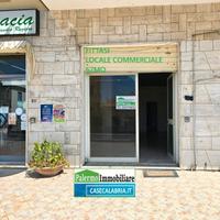 Negozio in centro Marina di Belvedere Marittimo