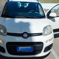 Panda Fiat