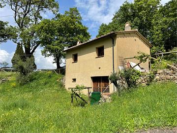 Annesso agricolo con oliveta