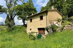 Annesso agricolo con oliveta