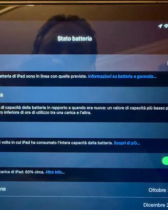 iPad Mini A17 Pro + custodia