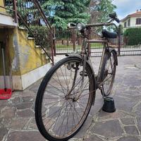 bicicletta uomo Torpado