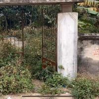 Pulizia giardino