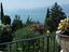 Immagine 12