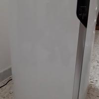 condizionatore pinguino