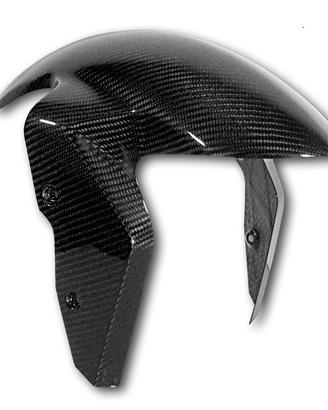 PARAFANGO ANTERIORE CARBONIO BMW S1000R MY 2020 20
