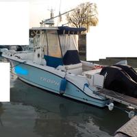 Fisherman Baylainer Trophy 2503