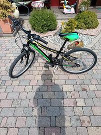 Mountain bike 