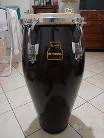bongo