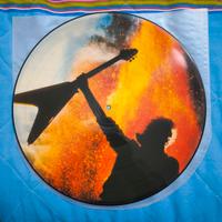 MSG Assault Attack picture disc lp