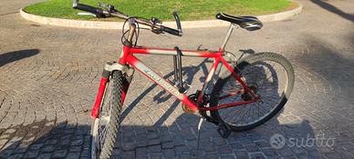 Bicicletta mountain bike