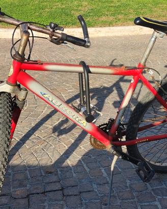 Bicicletta mountain bike
