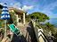 Immagine 28