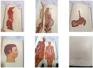 Enciclopedia Medica Per Tutti - Edizioni Labor Mil