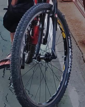 Copertoni Vittoria Mezcal 26" + Fasce