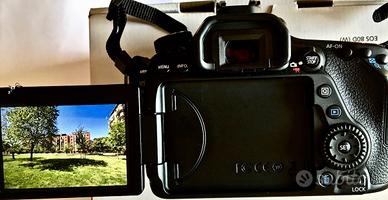 Canon EOS 80D +6 obiettivi Sigma/Canon + accessori