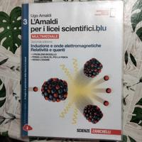 L'amaldi per i licei scientifici blu 3