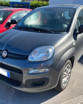 FIAT Panda 1.2 69cv E6 Easy