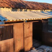 paddock cavalli capannine 