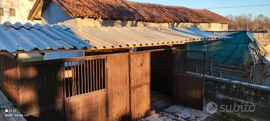 paddock cavalli capannine 