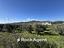Immagine 12