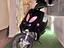 Immagine 2