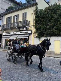 Frisone documenti Italiani