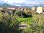 Immagine 13