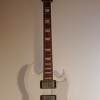 Chitarra elettrica + tracolla in pelle + custodia