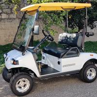 Golf Cart Omologato 2 Posti