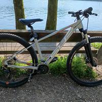 MTB superior sport XC ruote da 29 professionale 