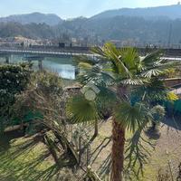 4 LOCALI A SAN MAURO TORINESE