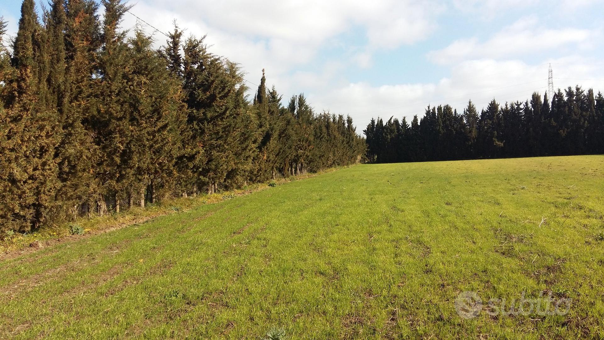 Terreno agricolo - Vista 2