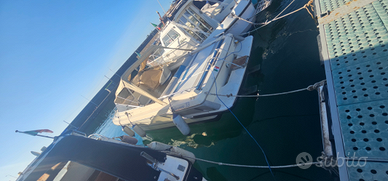 Barca cambinata endurance 33