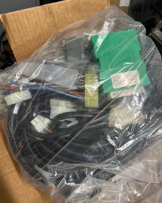 Kit centralina porta BCE