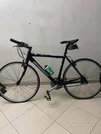 bianchi camaleonte