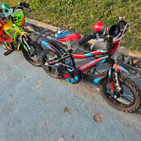 Bici bambino 12 pollici
