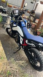 Africa twin