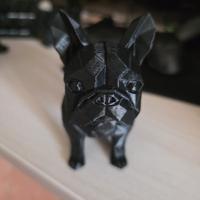 bulldog francese 3d